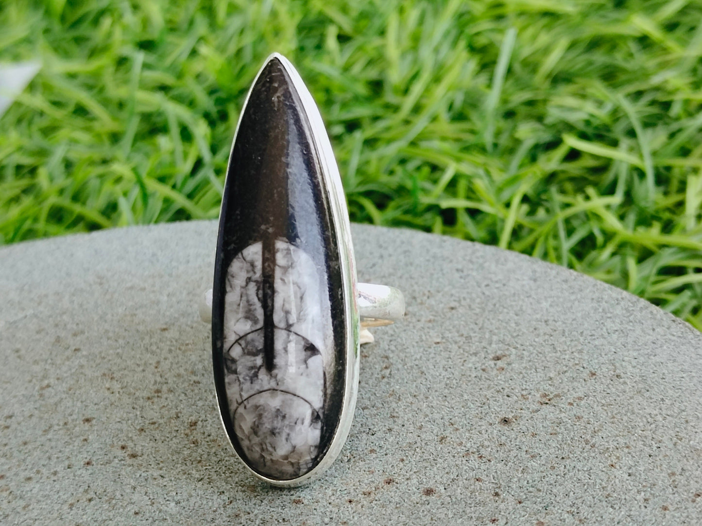 Bague fossile d'orthocéras - Bague fossile d'orthocéras en argent sterling noir et blanc frappant - Bague grande pierre - Bague pierre noire - Bague Kuber