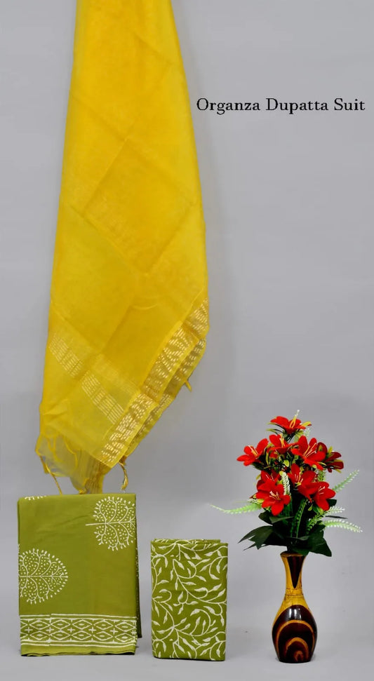 Spezielle Anzüge aus Organza-Duptta-Baumwolle