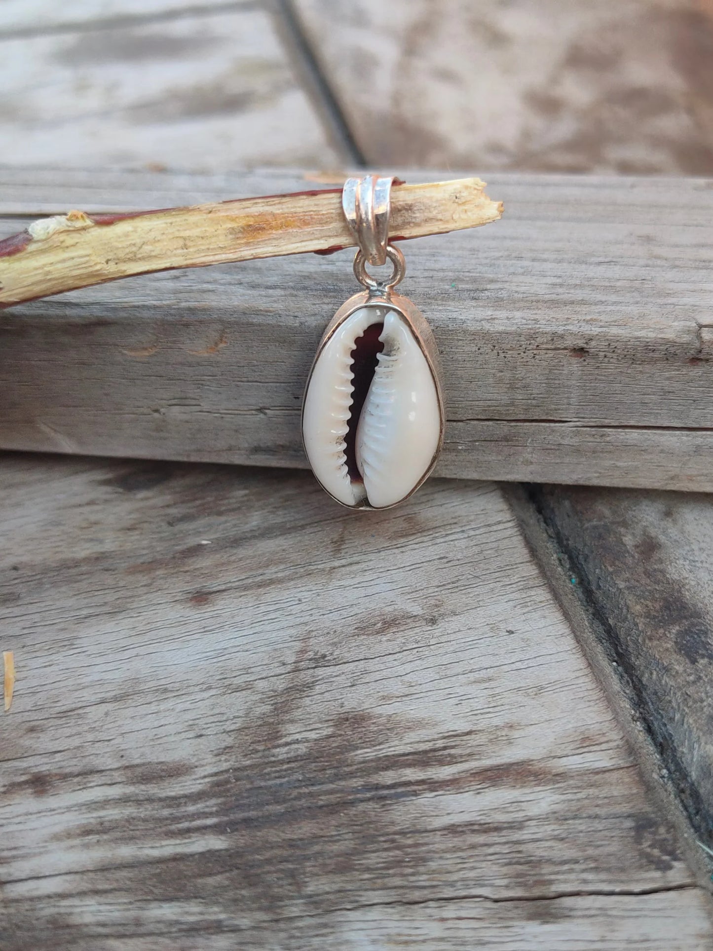 Handmade Cowry Pendant of Solid 925 Sterling Silver, Beautiful Cowry Pendant, Bezel Pendant Gift for her