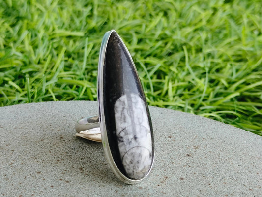 Orthoceras Fossil Ring -  Sterling Silver Striking Black & White Orthoceras Fossil Ring - Large Stone Ring - Black Stone Ring - Kuber Ring
